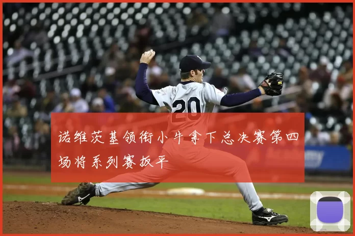 诺维茨基领衔小牛拿下总决赛第四场将系列赛扳平