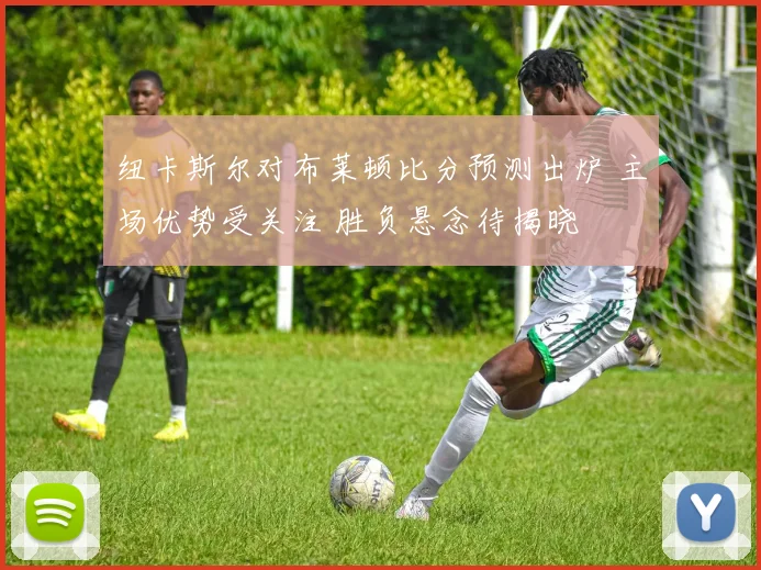 纽卡斯尔对布莱顿比分预测出炉 主场优势受关注 胜负悬念待揭晓